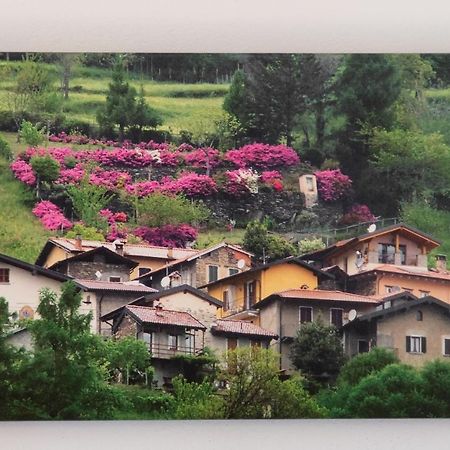 Casa Emma Villa Pianello Del Lario Exteriör bild